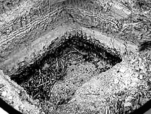 未成年去卖海报