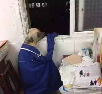 外国成人综艺 是拓宽了情感的认知边界海报