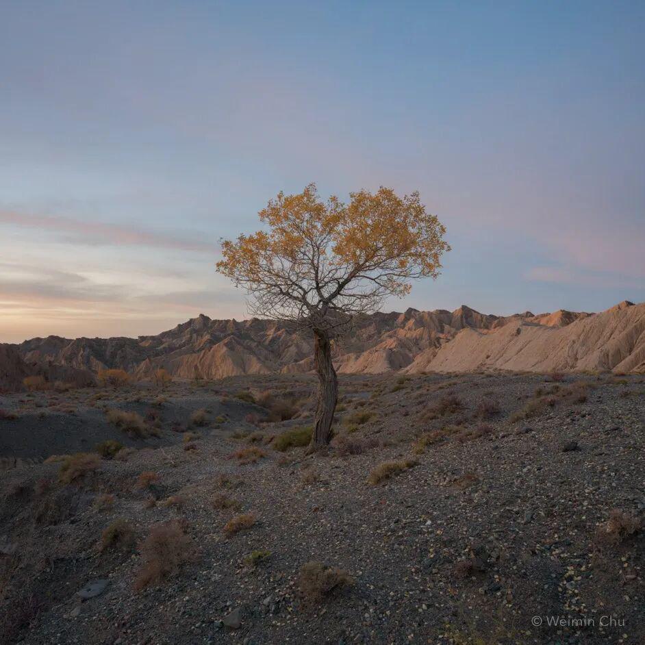 私下参加动漫展在线观看