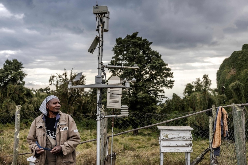 中文字幕在线观看视频海报