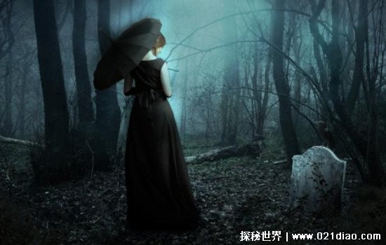 3d动漫网站海报