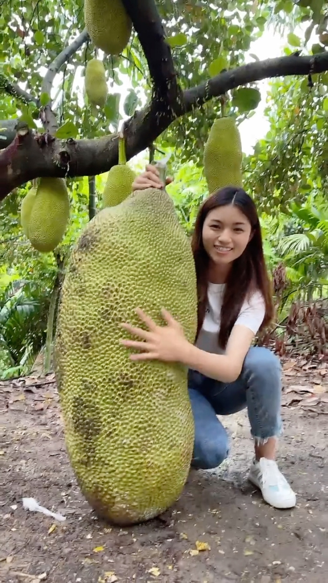 爱ycancan联动kuzu