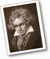 9国内精品久久久久免费影院海报