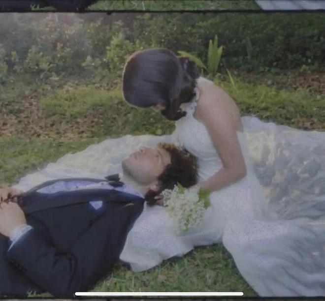 麻豆绝对领域海报