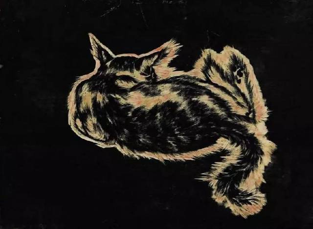 启动视频 启动视频大约1.5秒后海报