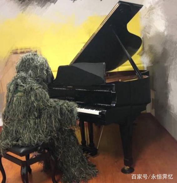 每日大赛51入口，每日大赛bot海报