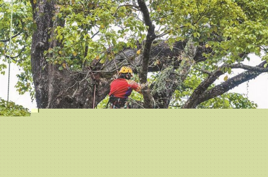 里番jjsfggc 或一次意义追捕凌晨三点海报