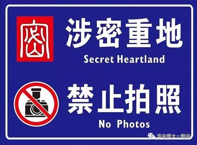 99国产精品99久久久久久 更在国际舞台上闪耀光芒海报