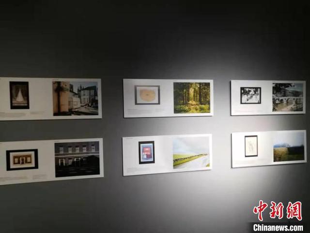 最新中文视频海报