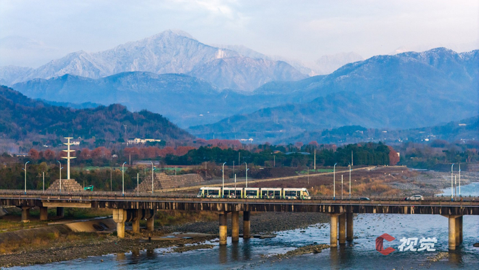 水岛津实视频 窗外的津实假樱花树