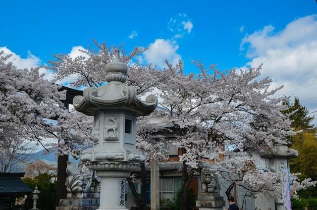 自由广场电影海报