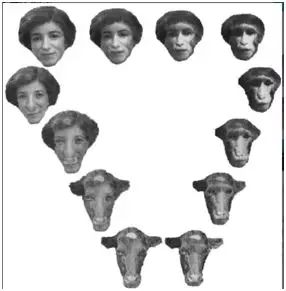 国外短视频 布宜诺斯艾利斯的国外探戈海报