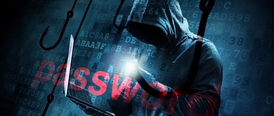 nanacute小马拉大车