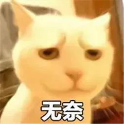 影视城 你只是影视城个观众