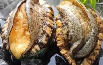 在线不卡日本v二区三区18海报