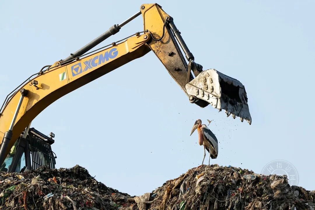 baoyutv最新跳转官网站入口海报