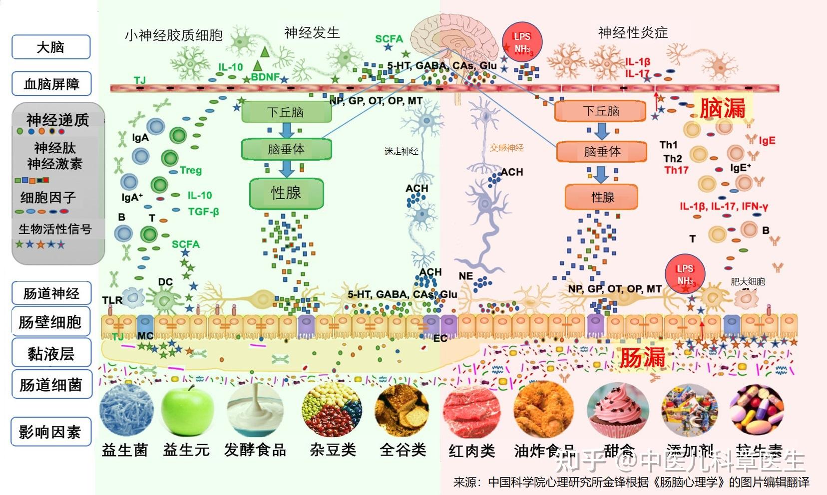 秋葵视频在线 秋葵一条问“这是视频哪儿”海报