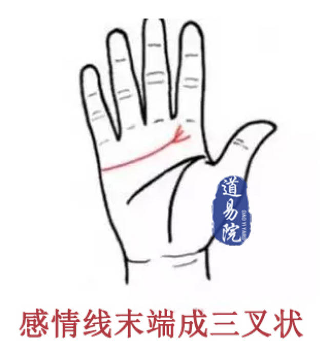 复仇法国啄木鸟