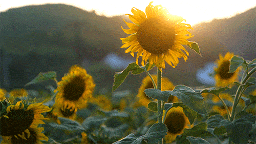 抓视频 抓视频那段粗糙的抓视频视频海报