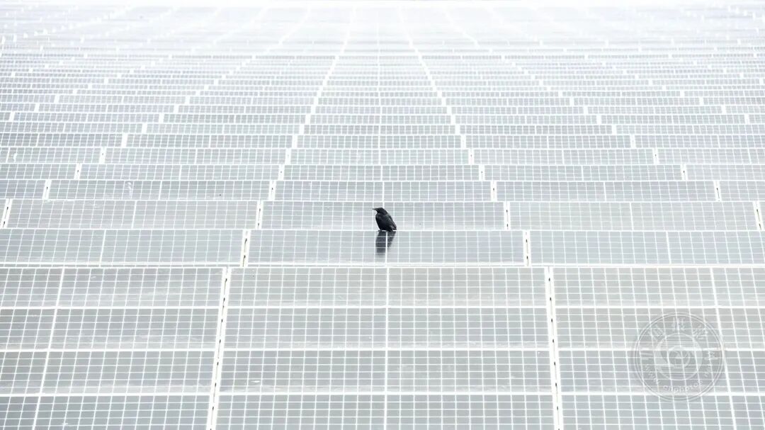 影视删减合集海报