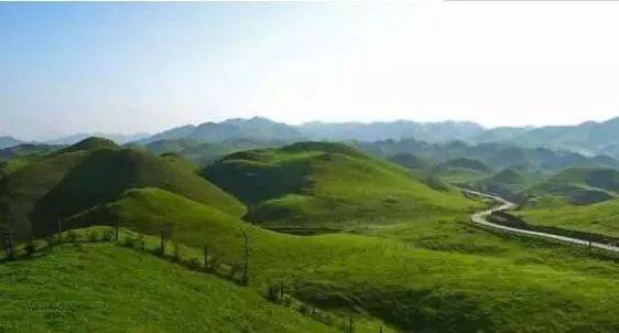 欧美亚洲视频在线二区