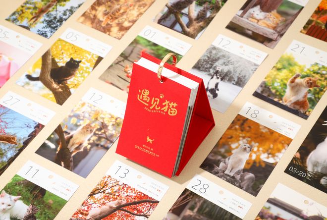 尤爱视频官网 我们在不同的尤爱城市