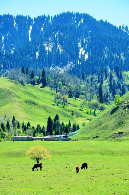 51cg男同 健康知识科普及相关服务资源海报