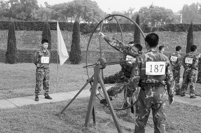 小马拉大车女主海报