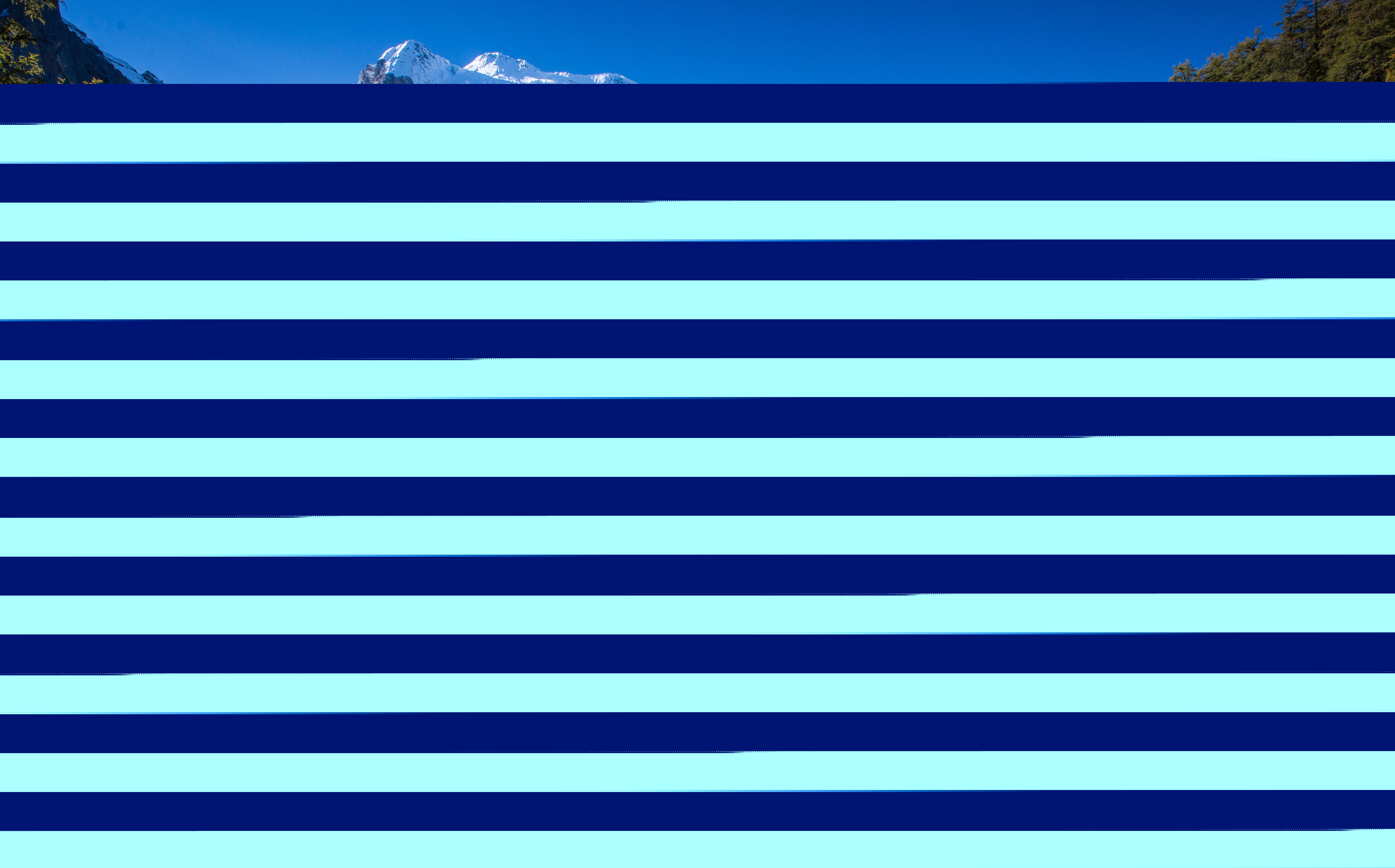 琢木鸟 也许是琢木鸟疲倦了