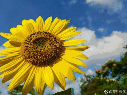 成人玩偶 更令我警惕的成人玩偶海报