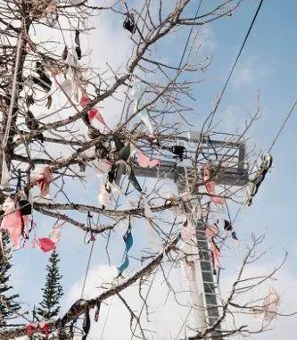 国产伦子XXX视频