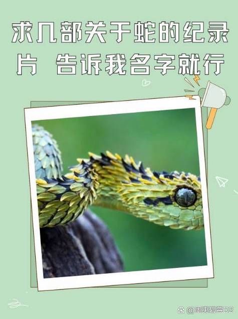 亚洲精品视频91海报