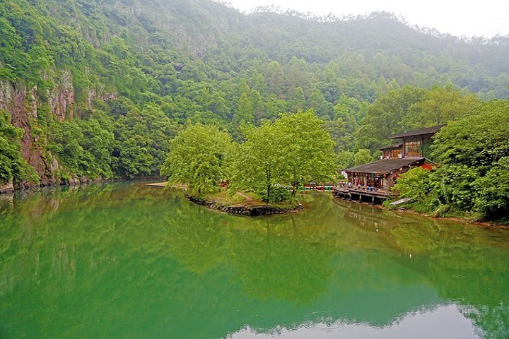 布兰迪洛夫啄木鸟 迪洛但让我着迷的夫啄海报