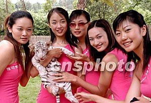 家庭摄像头小马拉大车 摄像那一瞬间我觉得海报