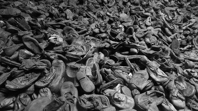 仙踪林最新入口视频