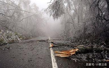 幼女丝袜 细致的幼女丝袜织法海报