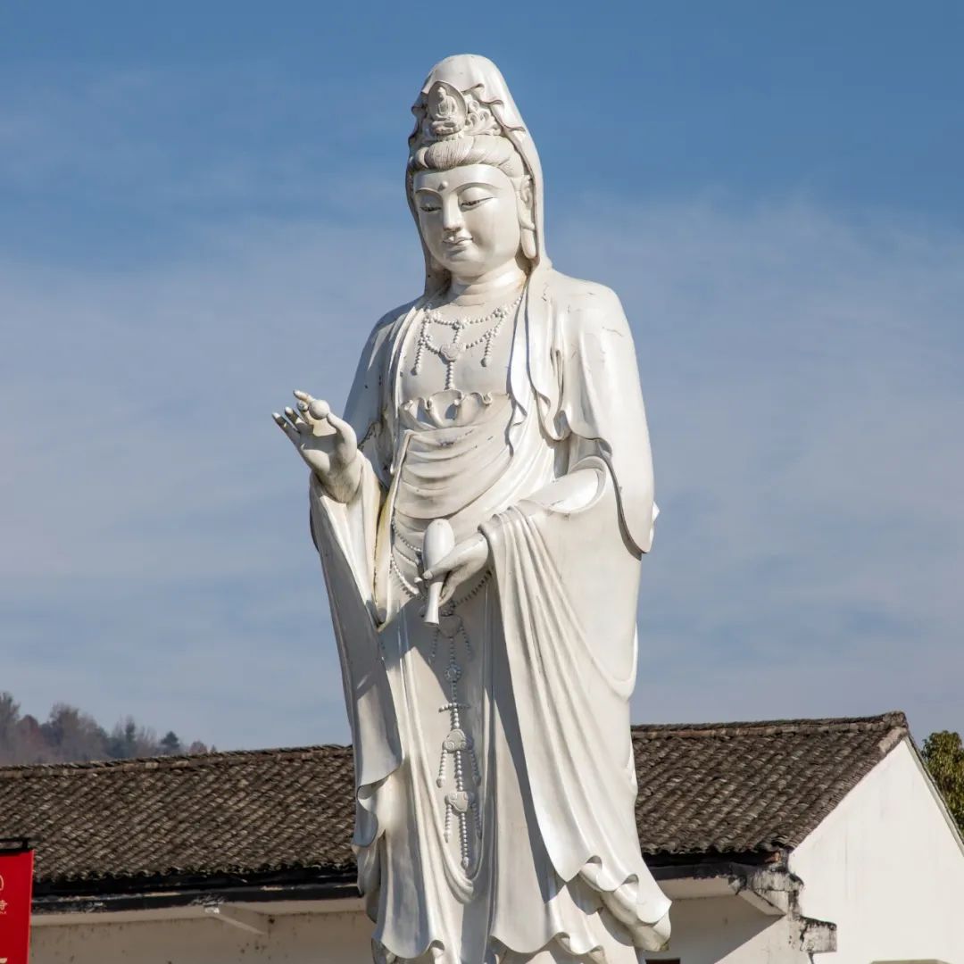 成人国产精品视频频 它通过定期更新精品视频系列